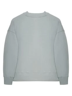 POLO CLUB Sweatshirt "Sendy Minimal" Grijs -Limango Winkel polo club sweatshirt sendy minimal grijs 4